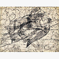 <em>Leone</em>, 1994, 21"x27", Zerographic print on paper