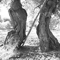 <em>Pole Dance</em>, 2018, Printed on 13"x19" archival paper, B/W photograph